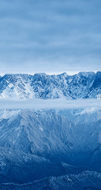 关于凯时国际app